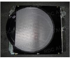 RDC-20-003